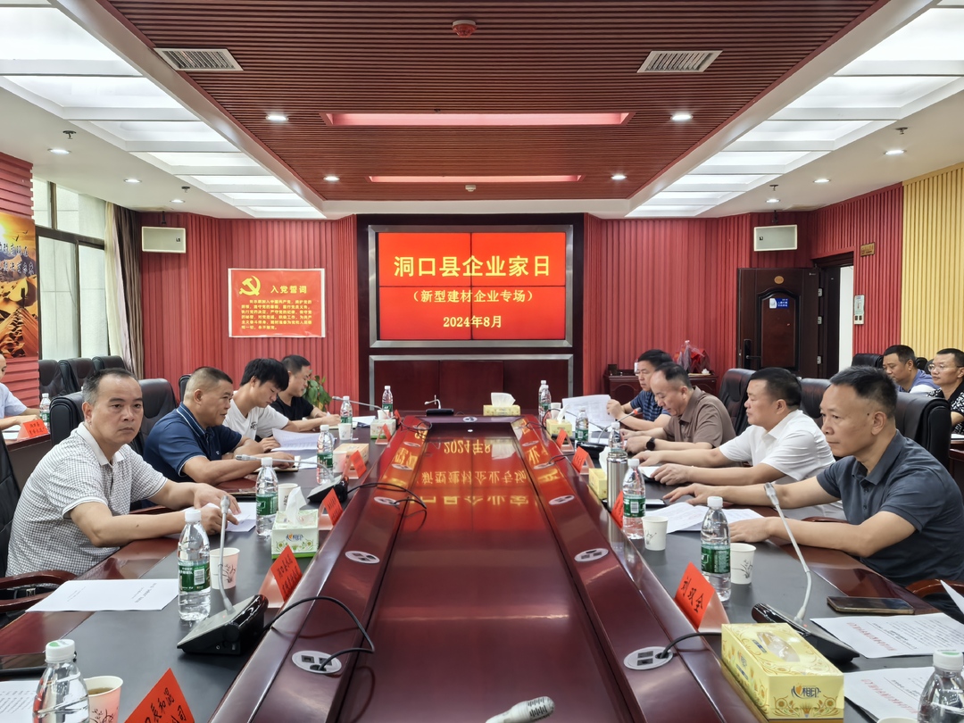 洞口县举行8月份“企业家日”活动(图1)