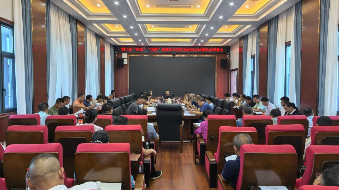 洞口县召开“两重”“两新”送解优专项行动培训会暨动员部署会(图1)