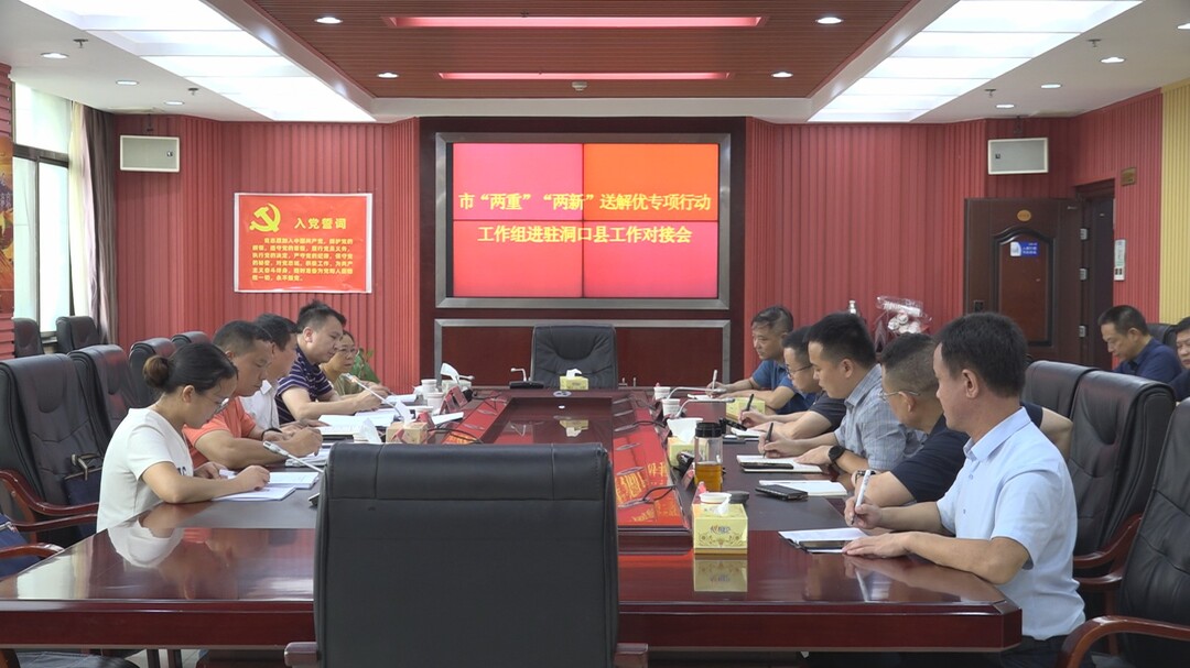 市“两重”“两新”送解优专项行动工作组进驻洞口县工作对接会议召开