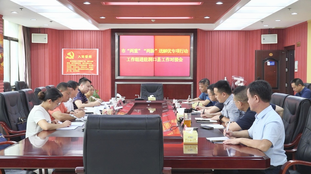 市“两重”“两新”送解优专项行动工作组进驻洞口县工作对接会议召开(图1)