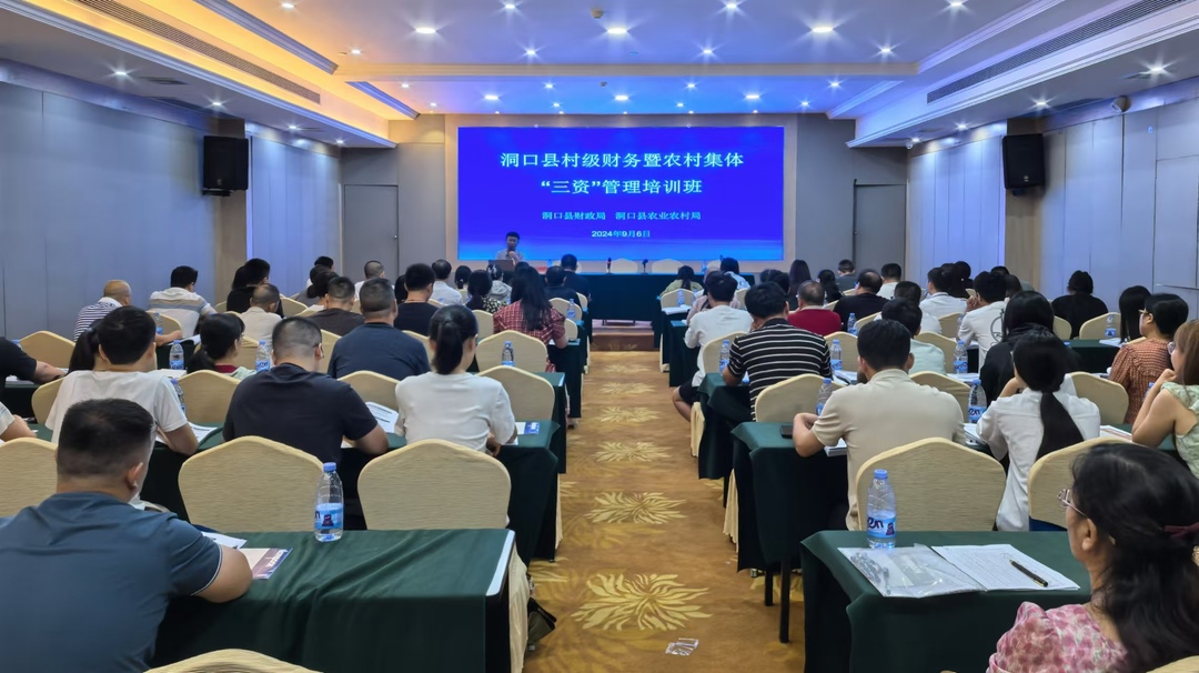 洞口县举办村级财务暨农村集体“三资”管理培训班(图1)