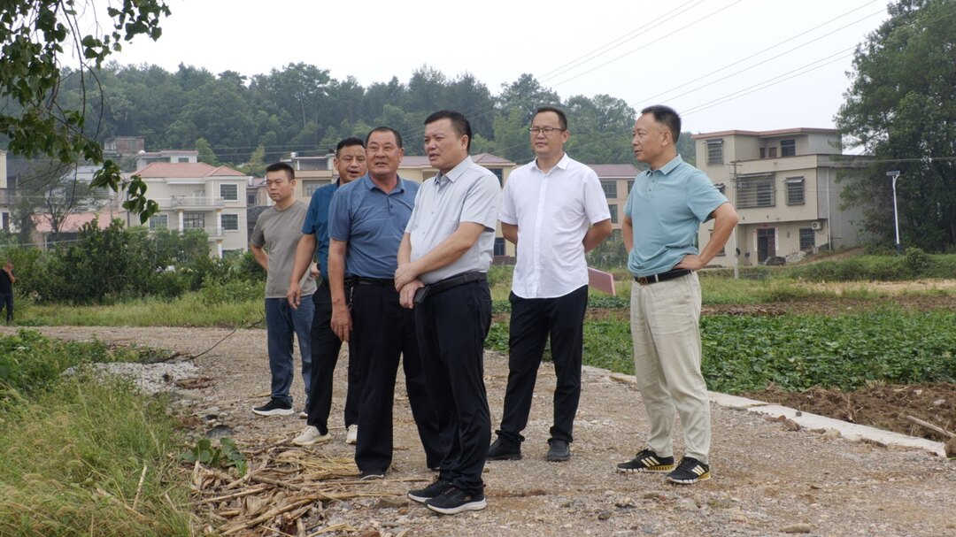 洞口县四级人大代表“逢6”集中进站开展主题活动(图2)
