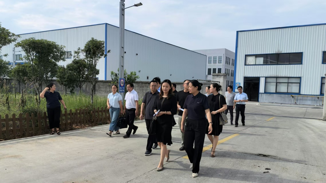 省“两重”“两新”送解优专项行动工作组来洞口开展专项调研(图2)