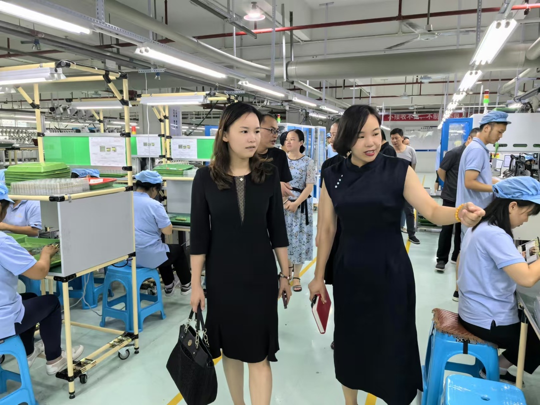 省“两重”“两新”送解优专项行动工作组来洞口开展专项调研(图1)