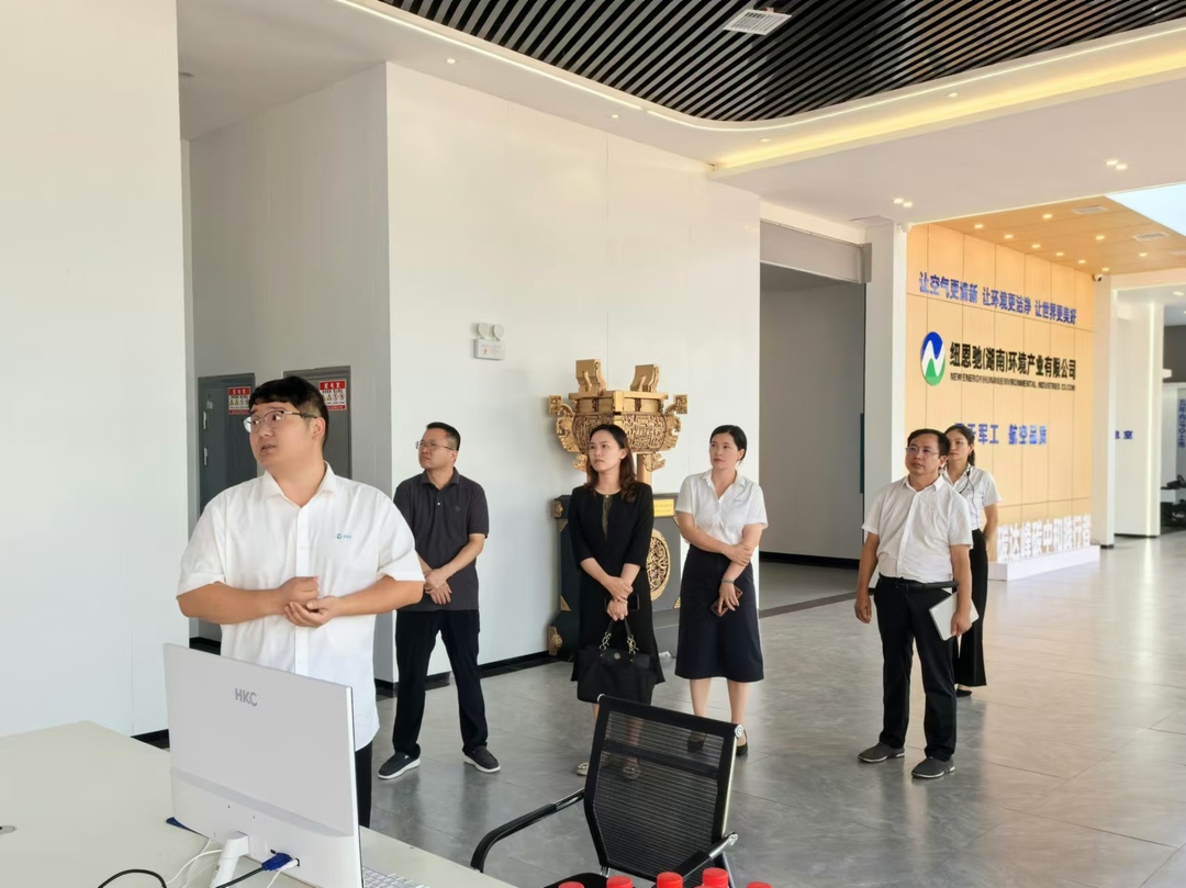 省“两重”“两新”送解优专项行动工作组来洞口开展专项调研(图3)