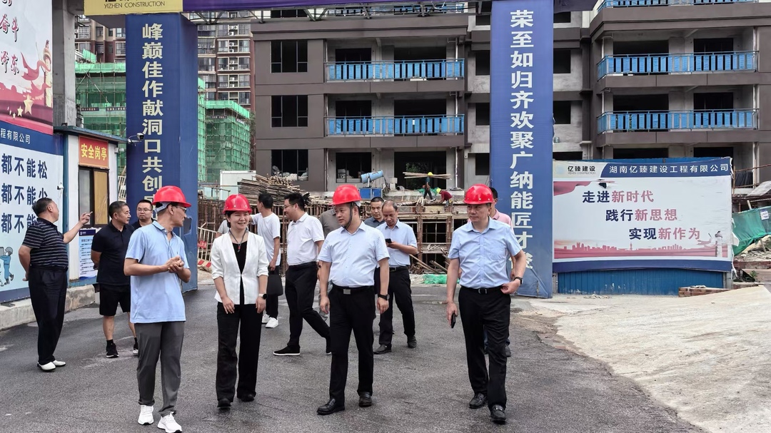 贺源到洞口县调研督导保交房工作(图2)
