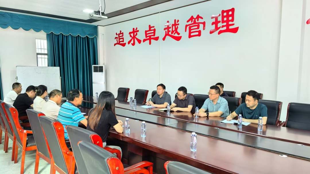 罗颢走访企业开展“两重”“两新”送解优专项行动(图3)