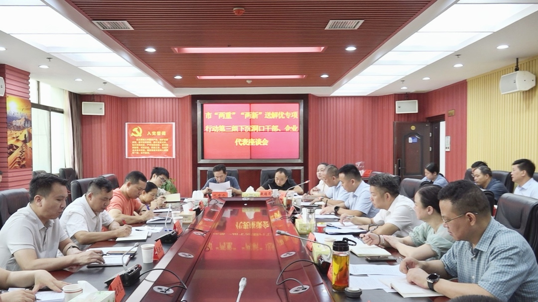 市“两重”“两新”送解优专项行动第三工作组干部、企业代表座谈会在洞口召开(图1)