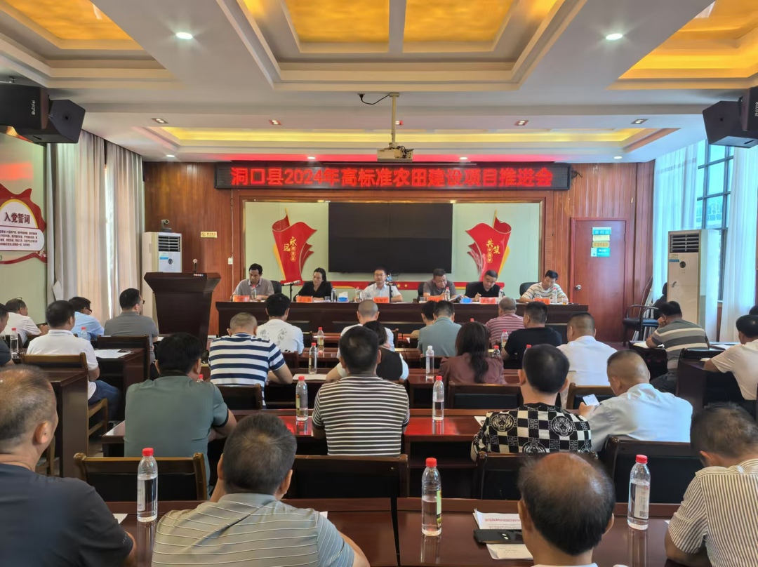 洞口县召开2024年高标准农田建设项目推进会(图1)
