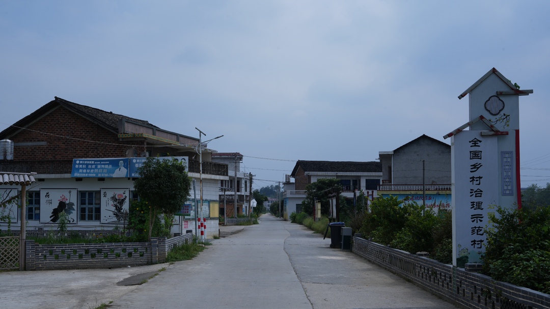 ﻿省委组织部选树一批抓党建促乡村振兴先进典型  洞口县高沙镇石榴村拟入选(图2)