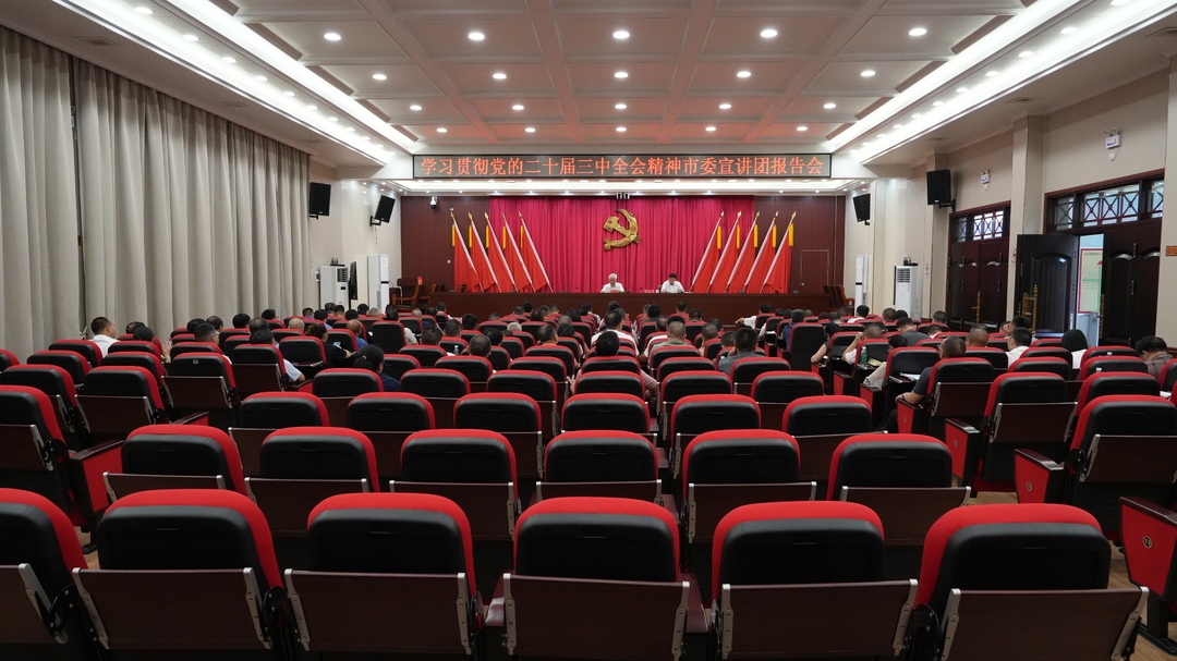 ﻿学习贯彻党的二十届三中全会精神市委宣讲团在洞口宣讲(图1)
