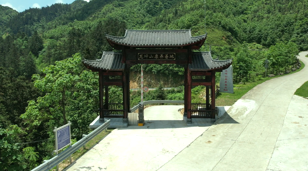 洞口县龙坪山森林康养基地入选第二批湖南文旅消费“新生代·新场景”(图1)