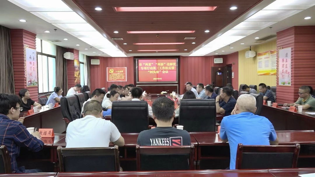 市“两重”“两新”送解优专项行动第三工作组反馈“回头看”会议在洞口召开(图1)