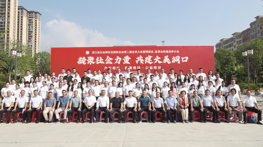 洞口县社会帮扶发展联合会完成换届选举(图1)