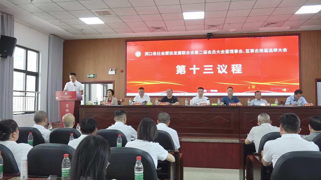 洞口县社会帮扶发展联合会完成换届选举(图3)