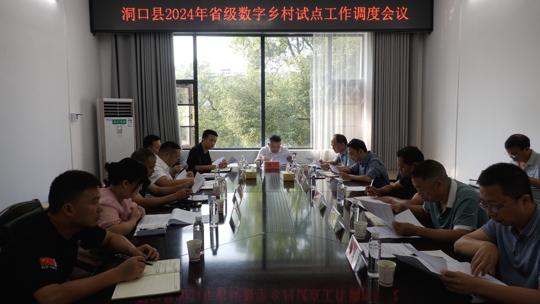 洞口县召开2024年省级数字乡村试点工作调度会(图1)