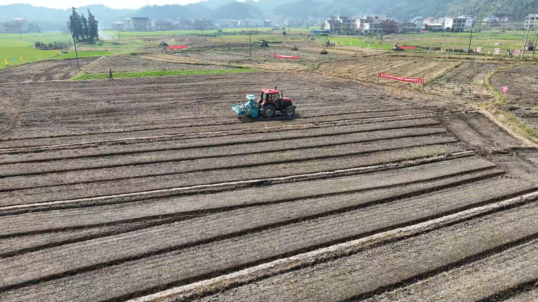 洞口：油菜精量化直播 助农增产增收(图2)