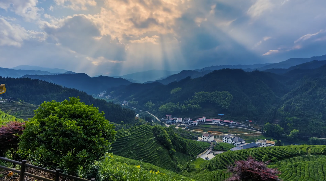 洞口：“最美农村路”带火乡村旅游(图5)