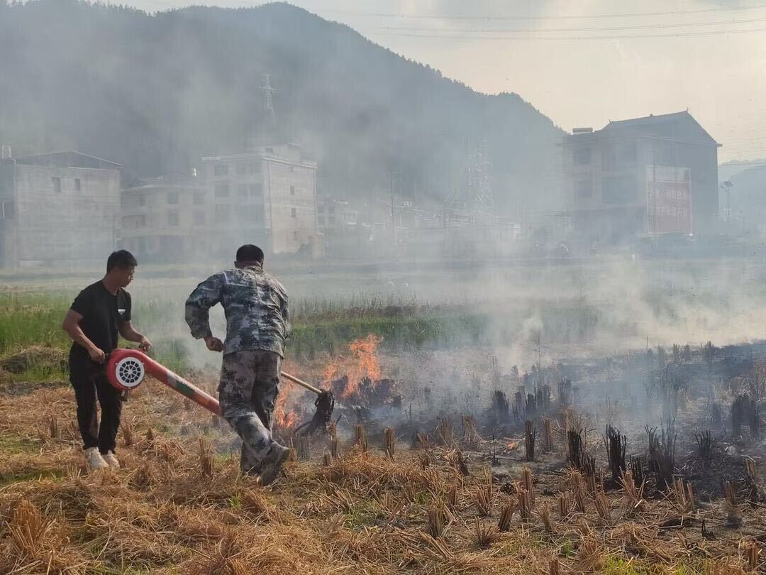 洞口县月溪镇：奋勇演练共筑防火防线，携手同行守护青山家园