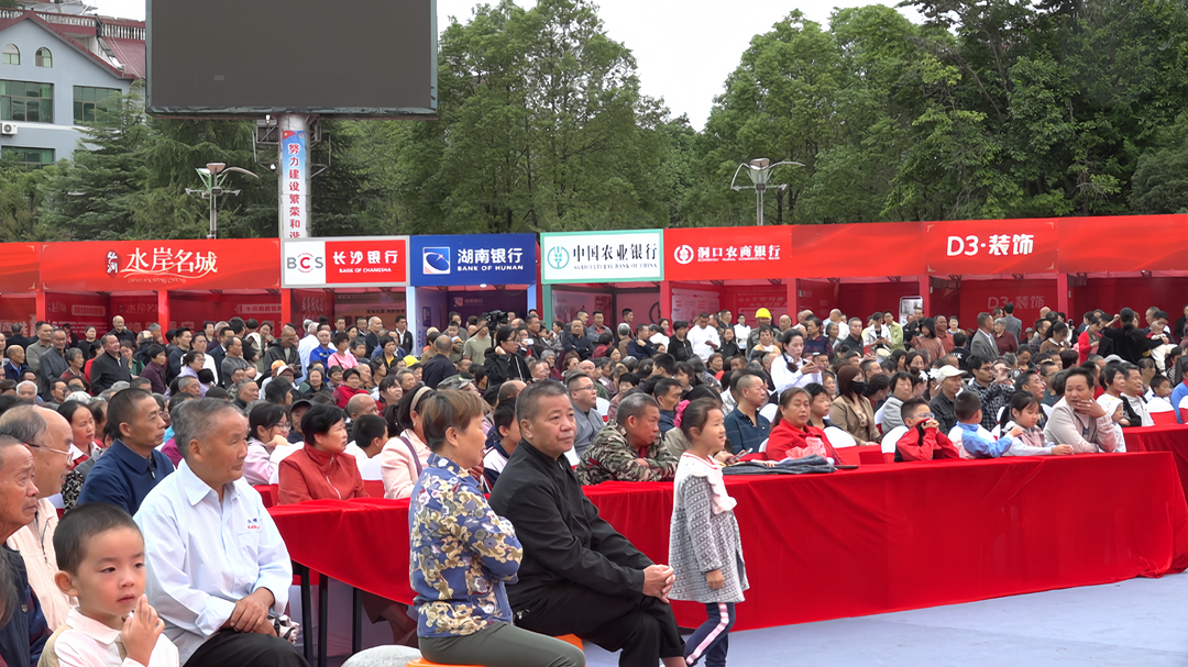 福居新洞口 共品雪峰情——洞口县第二届房地产交易会暨雪峰农特产品展销会（消费品以旧换新宣传会）举行文艺汇演(图3)
