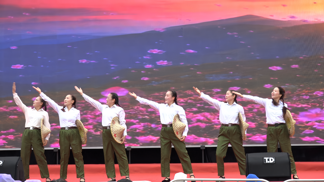 福居新洞口 共品雪峰情——洞口县第二届房地产交易会暨雪峰农特产品展销会（消费品以旧换新宣传会）举行文艺汇演(图4)