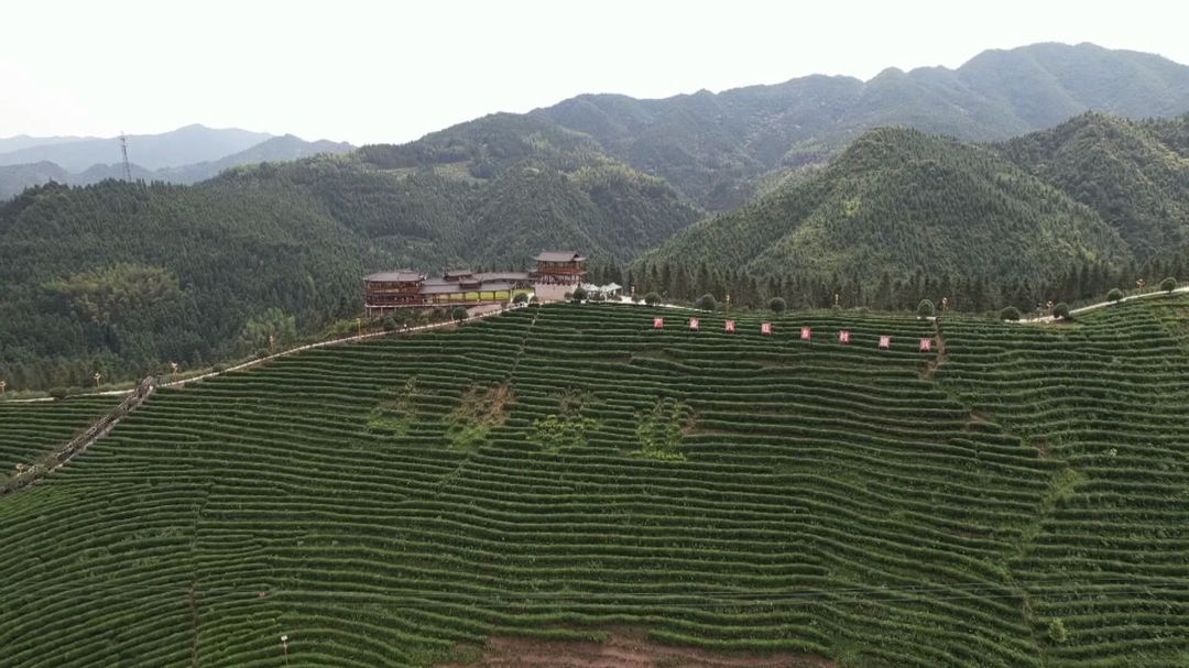 洞口：倡导文明出游 让旅游更美好