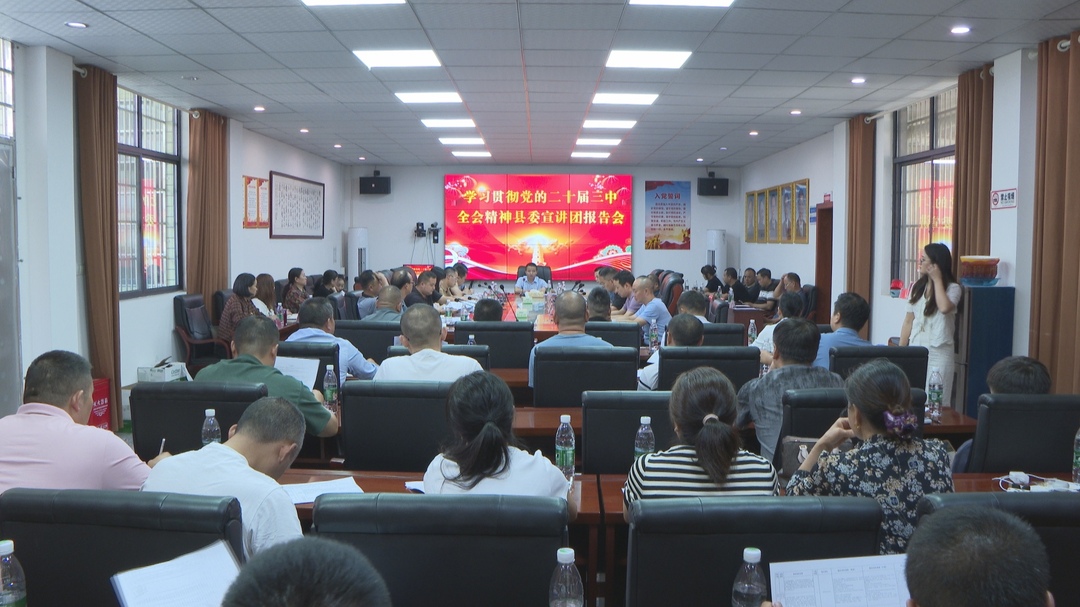 洞口县持续掀起学习贯彻党的二十届三中全会精神热潮(图3)