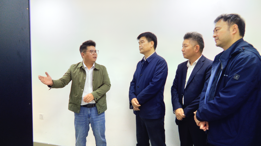 市调研组调研督导洞口县省级数字乡村试点综合工作(图1)
