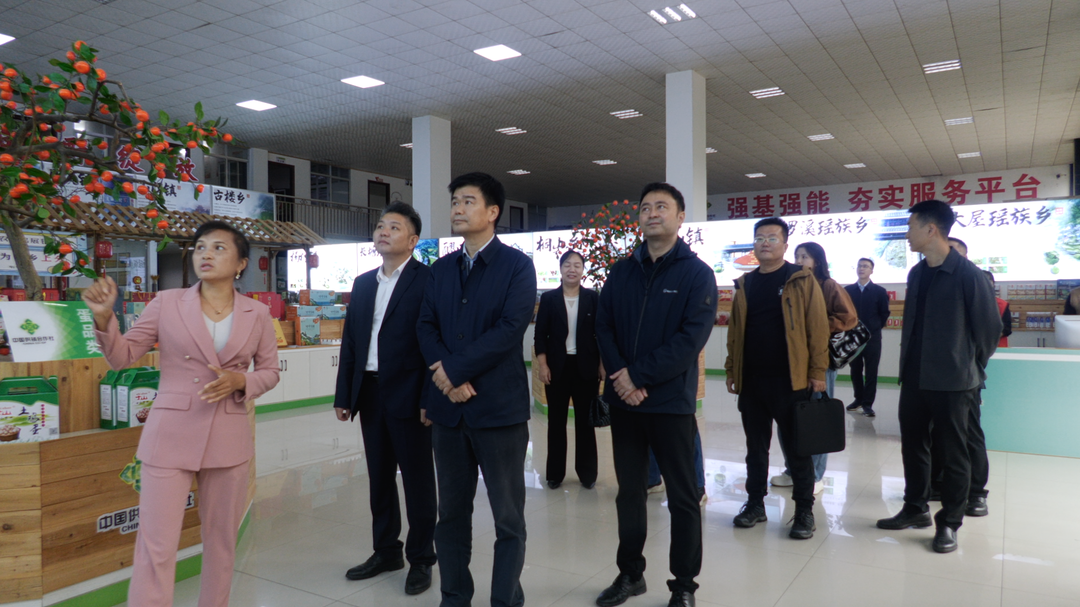 市调研组调研督导洞口县省级数字乡村试点综合工作(图2)