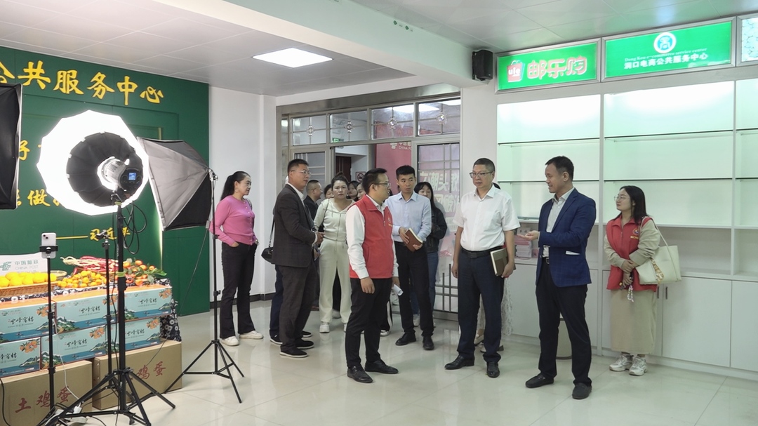 洞口县启动电商助推雪峰蜜桔产业发展专题活动(图2)
