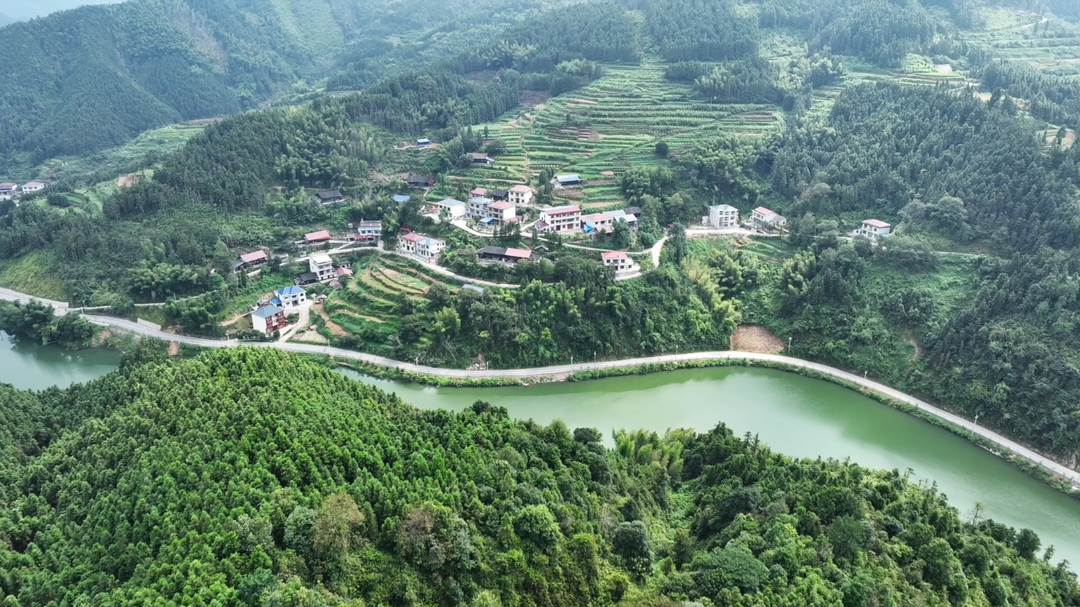 洞口县“最美农村路”迎接省厅复核(图3)