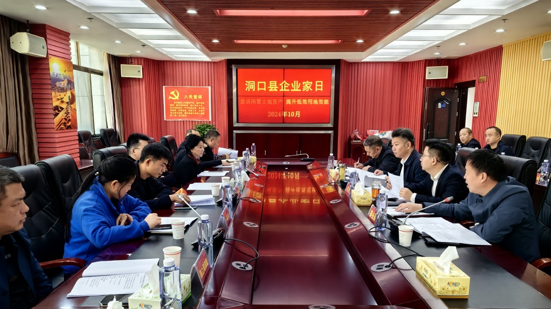 洞口县举行10月份“企业家日”活动(图1)