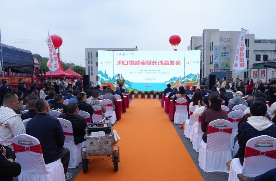 桔香长沙  甜蜜“出圈”——“洞口雪峰蜜桔”长沙品鉴会在长沙红星全球农批中心举办