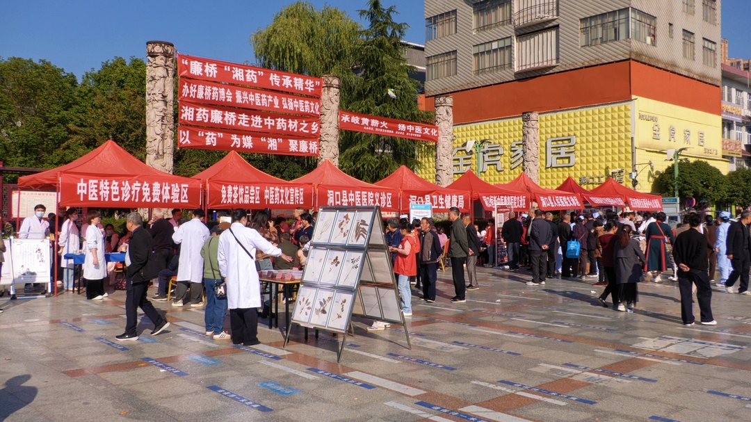 洞口县开展中医药文化传播宣传义诊活动(图1)