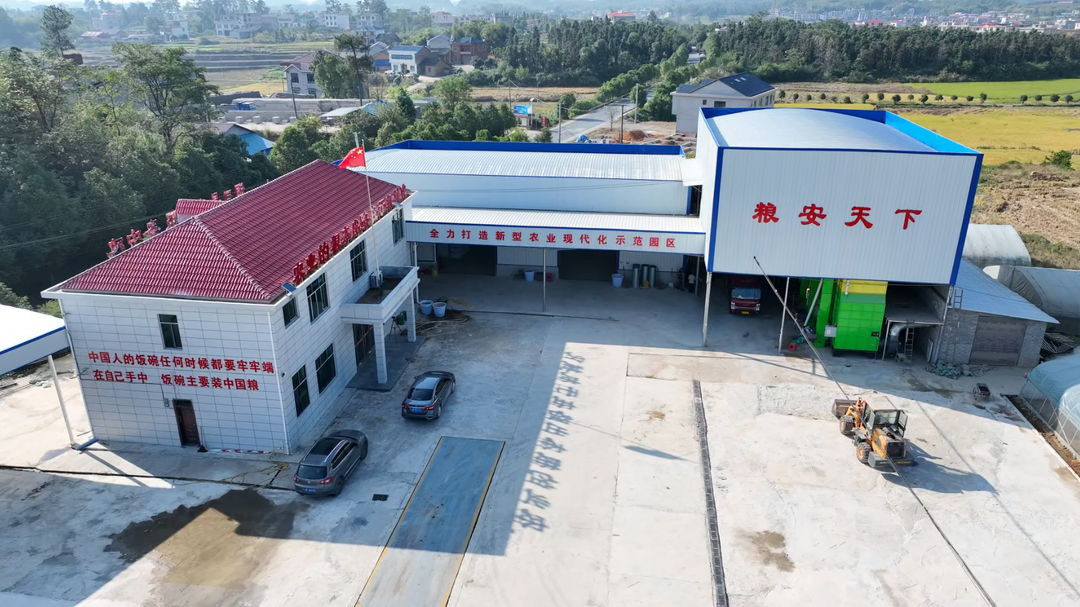 洞口：稻谷烘干助力秋粮颗粒归仓(图1)