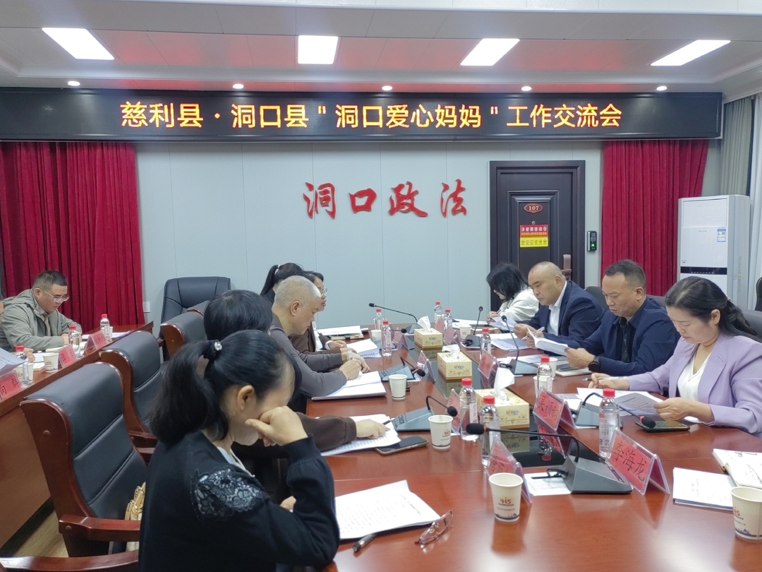 慈利县来我县考察学习  “洞口爱心妈妈”工作