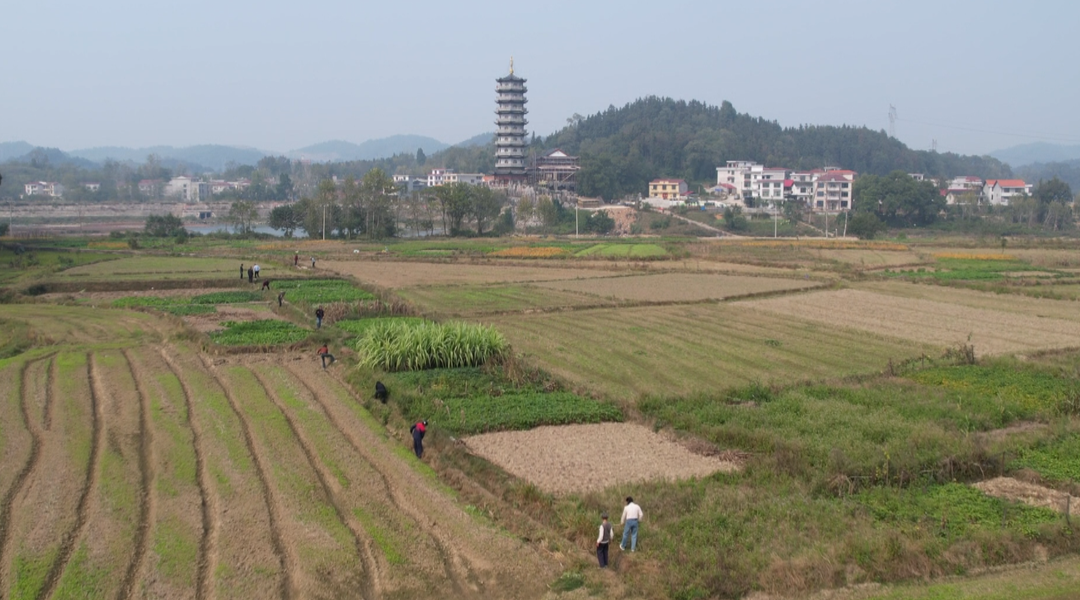 正山村：冬修水利正当时 通渠保灌惠民生