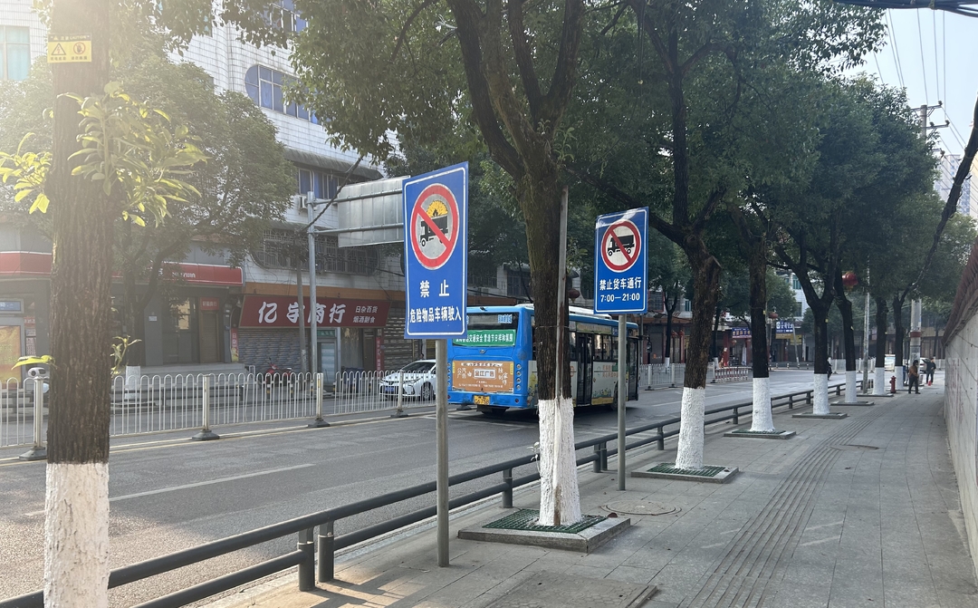 县城管局：树木涂白换“新衣”  安全过冬升“颜值”