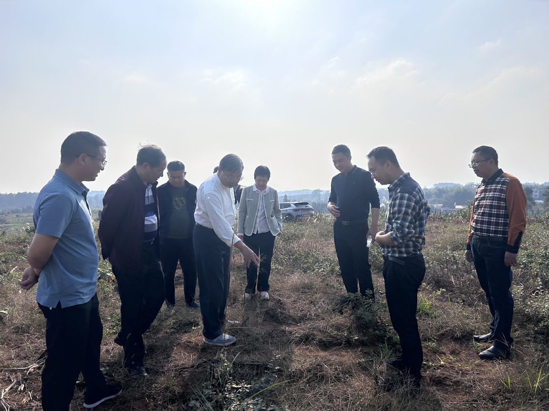 国家花生产业试验站指导洞口县花生产业发展座谈会召开(图2)