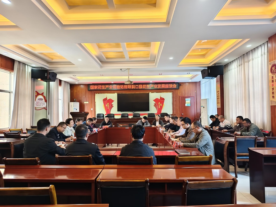 国家花生产业试验站指导洞口县花生产业发展座谈会召开(图1)