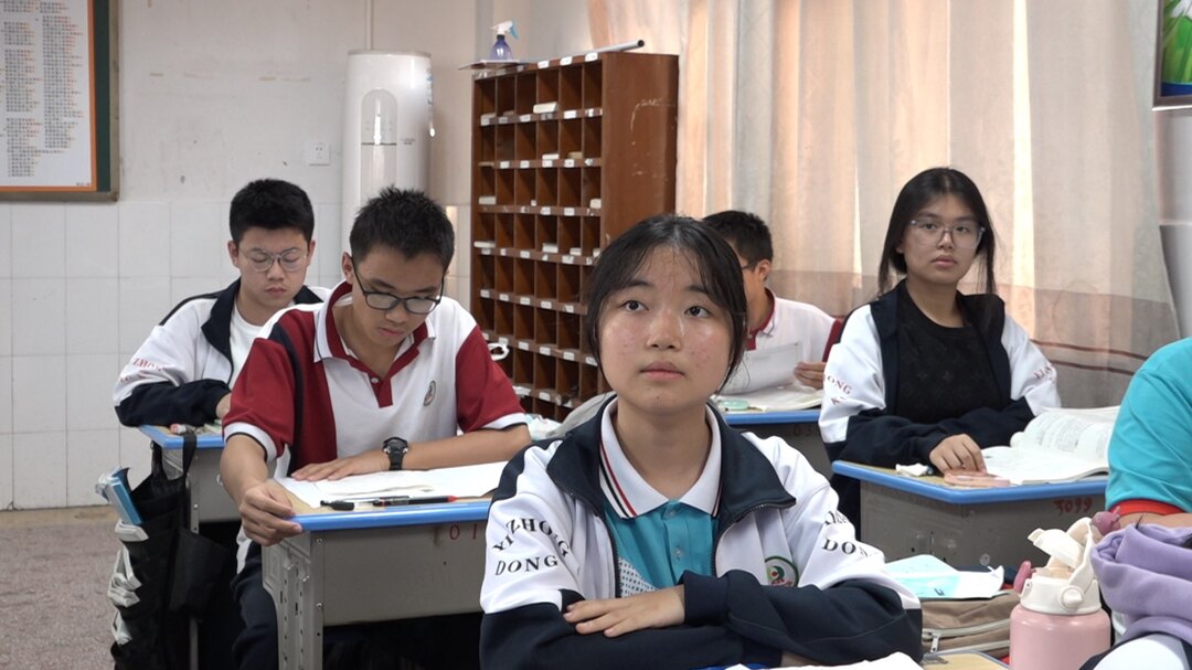 洞口一中学生陈林莉获宋庆龄奖学金