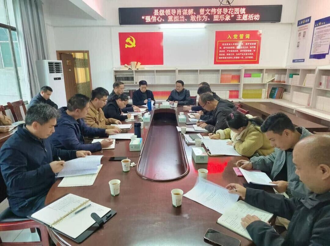 肖谋解、曾文伟到花园镇调研督导“强信心、重担当、敢作为、塑形象”主题活动