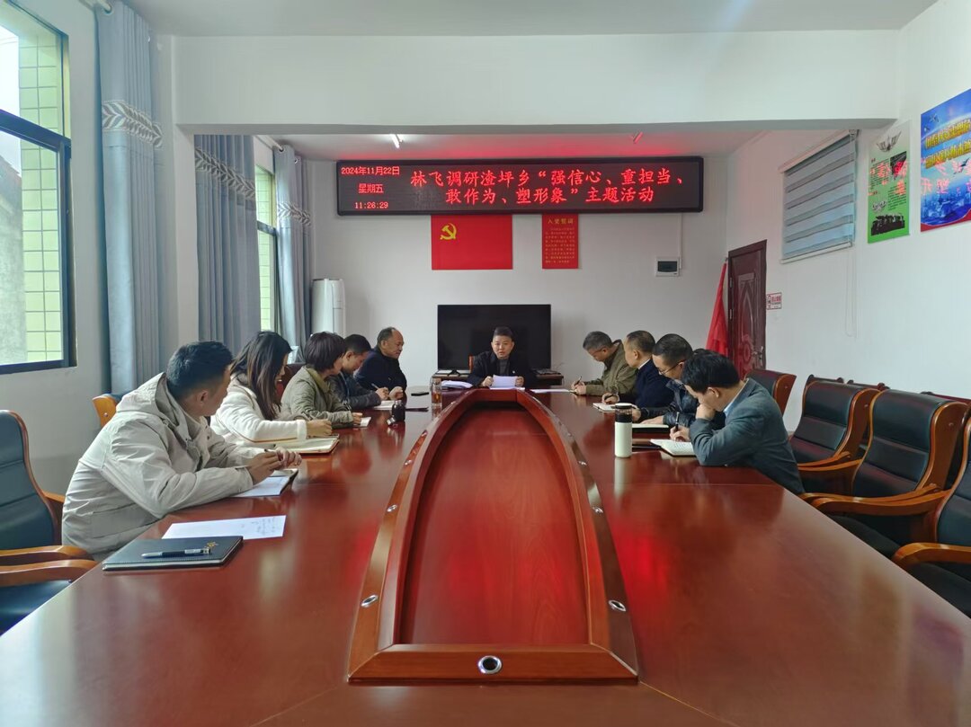 林飞到渣坪乡调研“强信心、重担当、敢作为、塑形象”主题活动开展情况(图1)
