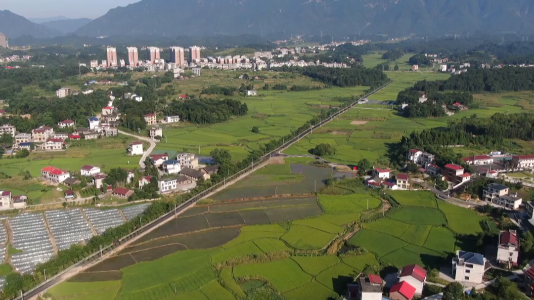 “强信心、重担当、敢作为、塑形象”：雪峰街道天井村：创新基层治理 书写乡村新貌