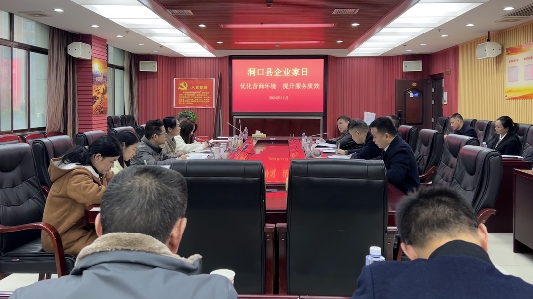 洞口县举行11月“企业家日”活动(图1)