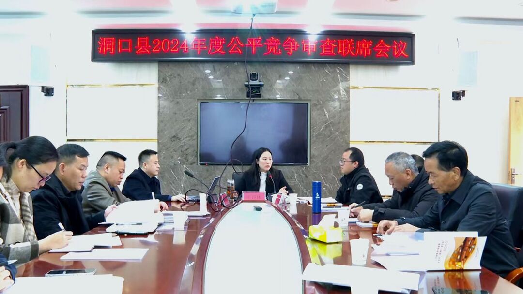洞口县召开2024年度公平竞争审查联席会议(图1)