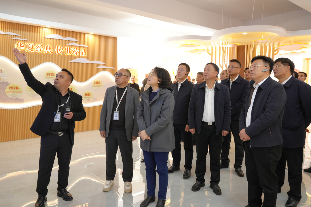 全市推进县域经济高质量发展现场推进会与会人员来洞口县观摩(图2)
