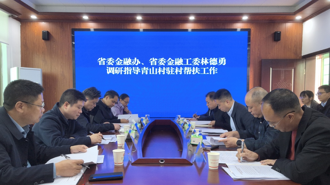 林德勇到洞口县石柱镇青山村调研乡村振兴工作(图1)