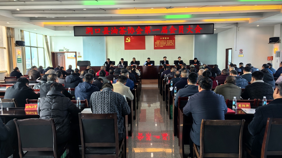 ﻿洞口油茶协会成立