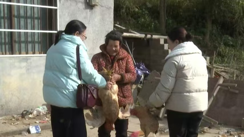 县委政法委：消费帮扶 助力乡村振兴